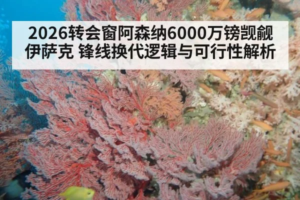 2026转会窗阿森纳6000万镑觊觎伊萨克 锋线换代逻辑与可行性解析